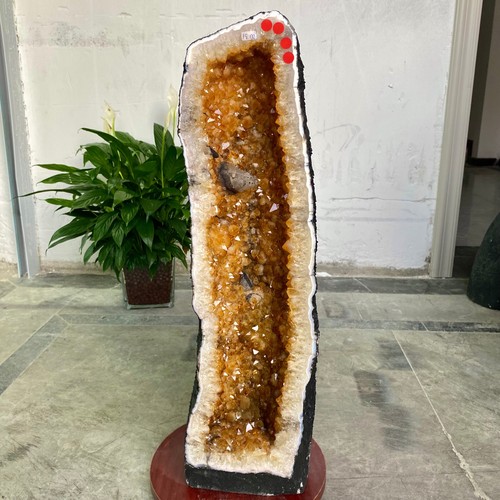 66lb natural citrine geode - natural,