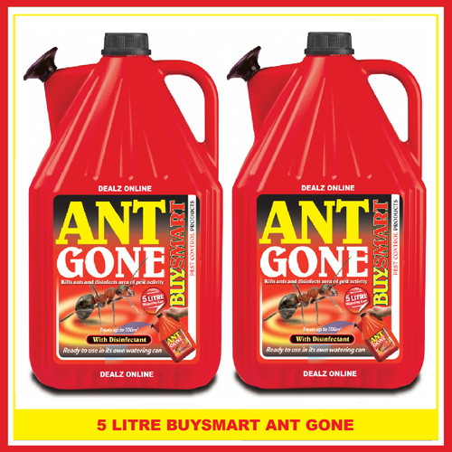 Ant gone - ant,