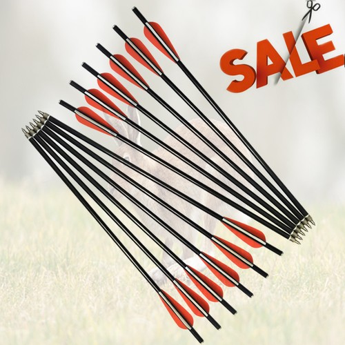 Inch fiberglass arrow - fiberglass,