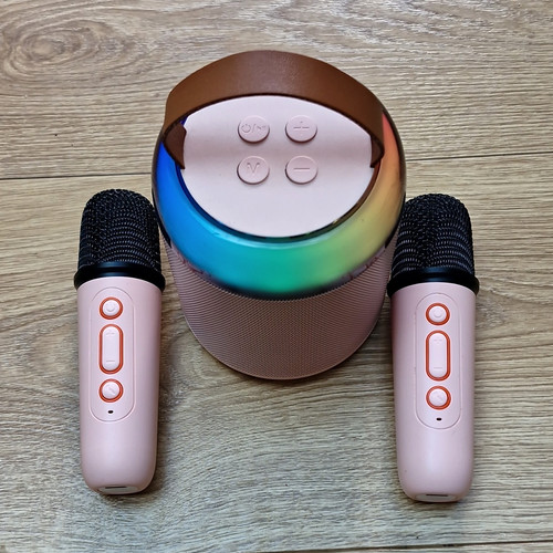 Portable karaoke system - portable,