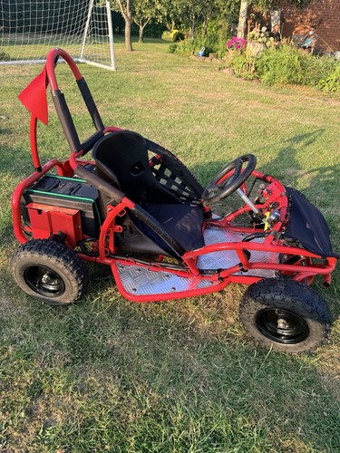 Kids electric 1000w 48volt - kids,