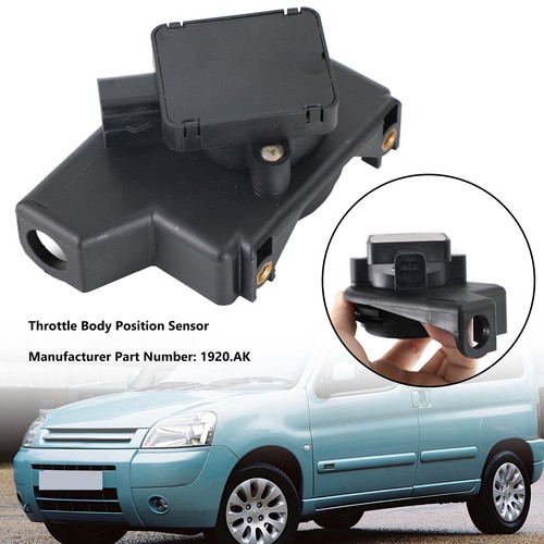 Throttle body position sensor - body,
