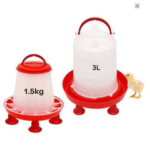 Chicken poultry feeder drinker - chicken,