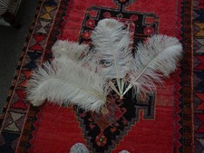 Large ostritch feathers, originaly from a fan. v.g. condition