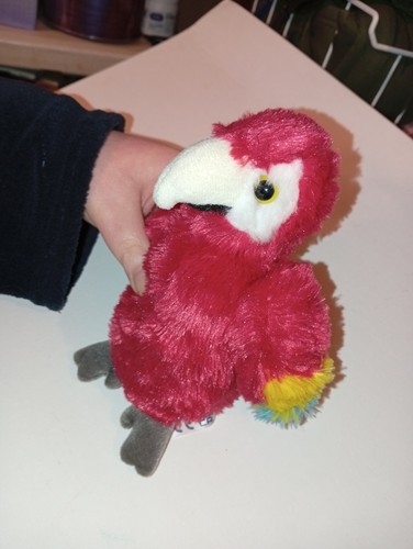 Aurora red mccaw - parrot, soft