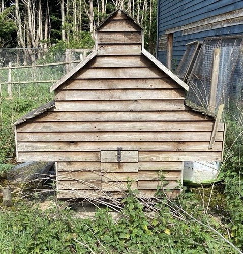 Chicken poultry bird house - chicken,