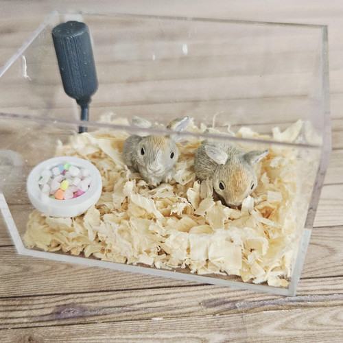 Rabbit cage kit - cage, bunnies