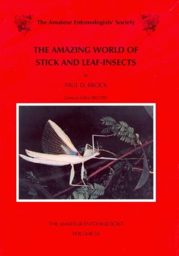 Amazing world stick - amazing, and
