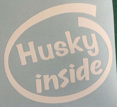 Siberian husky inside dog - siberian,