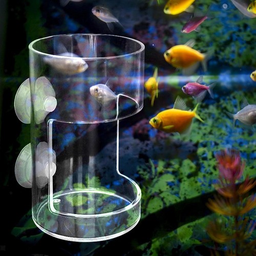 Acrylic fish feeder with - fish,