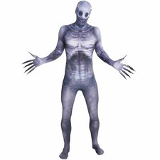 Adult The Rake Morphsuit