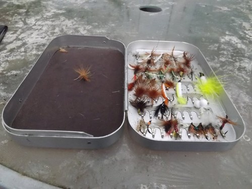 Richard wheatley large fly - large,