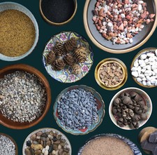 Terrarium Decoration Singles -