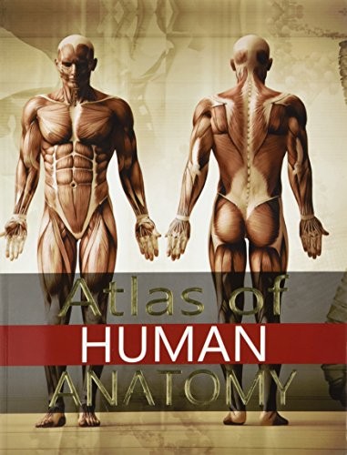 Atlas human anatomy by - atlas, of
