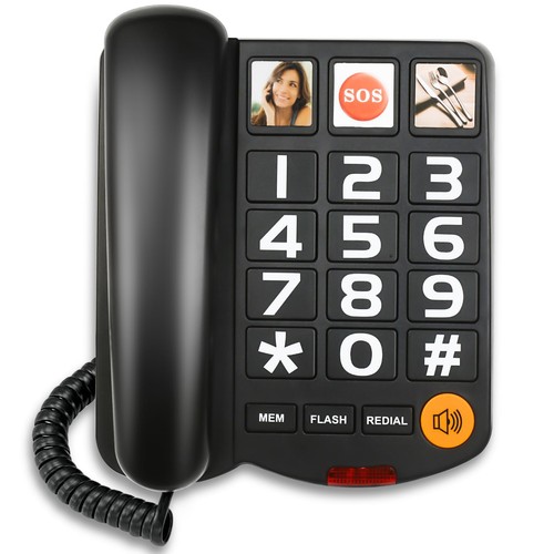 Big button and picture - big,