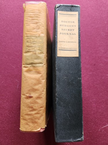 Doctor hudson secret journal - doctor,