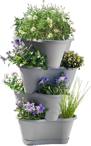 Stackable garden plant - garden, pot
