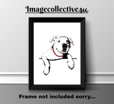 AMERICAN BULLDOG PET DOG A4