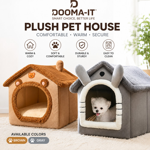Pet cat kitten dog - dog, beds
