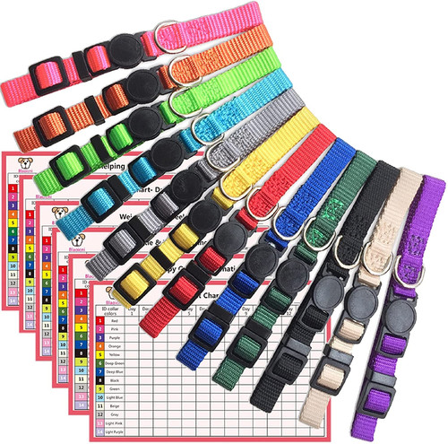 Puppy collars for litter - puppy,