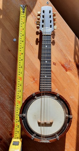 Savana mandolin banjo english - banjo.,