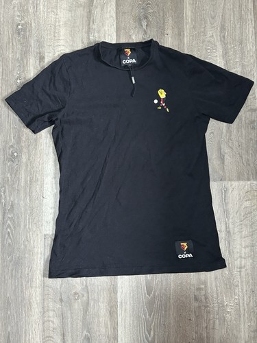 Copa watford that deeney - fc,