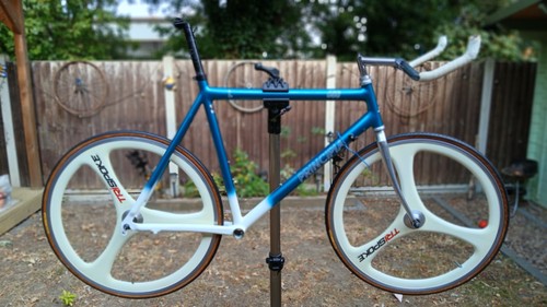 Principia 650l road - principia, 55cm