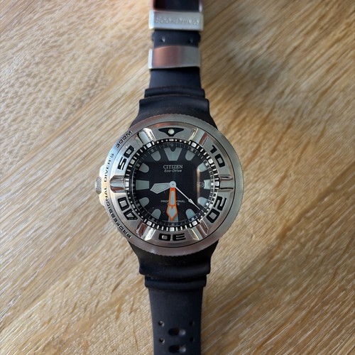 Citizen promaster ecozilla - promaster,