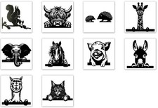 Primus Metal peeking or large