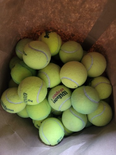 Used tennis balls - tennis,