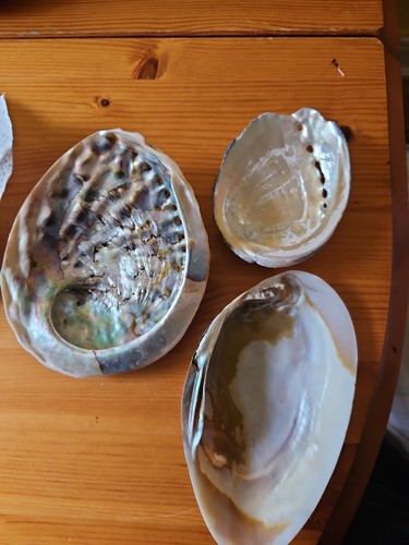 Two them are - them, abalone