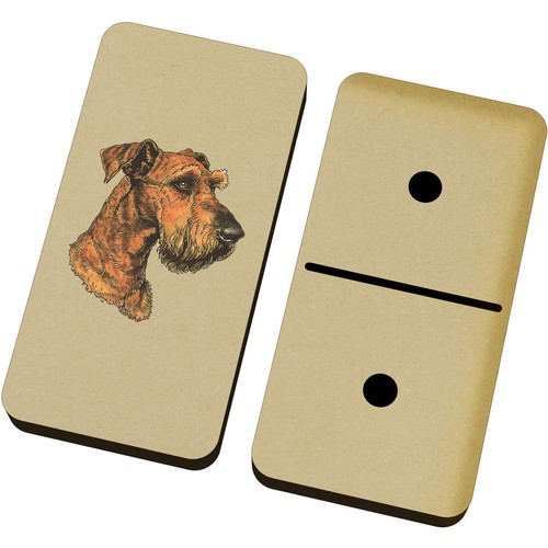 Airedale terrier portrait - ',