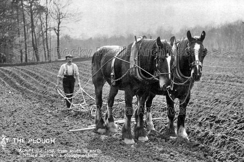 Baa farming history - baa-93, history,