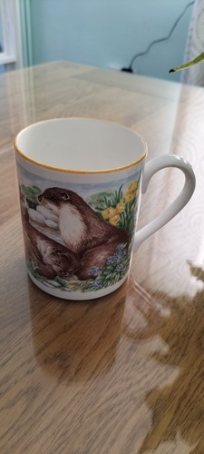 National trust wildlife - national, otter