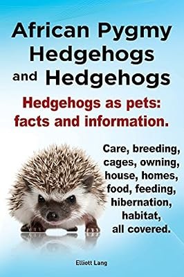 African pygmy hedgehogs and - hedgehogs,