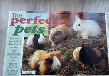 Alan Dart Sewing Pattern