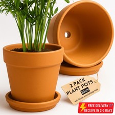 2x Terracotta Plant Pots w/