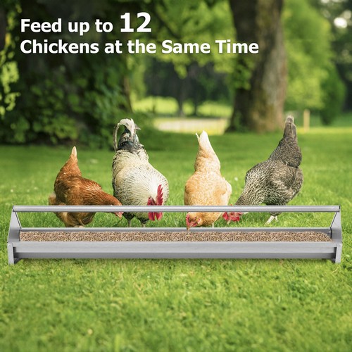 115 5cm galvanized chicken - 115.5cm,
