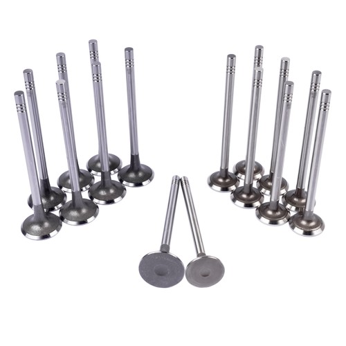 Set valves for vauxhall - valves,