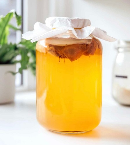 Large organic kombucha - organic, scoby