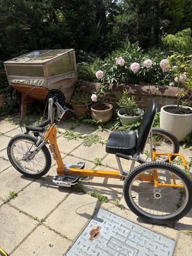 Pacific cycles adult recumbent - cycles,