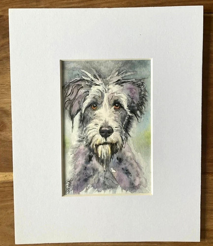 Irish wolfhound original - irish,