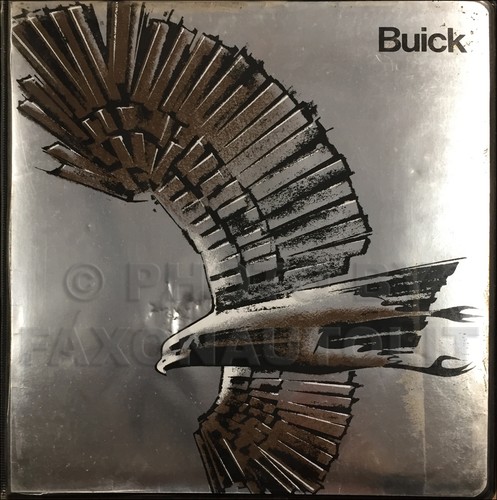 1981 buick color and - 1981,