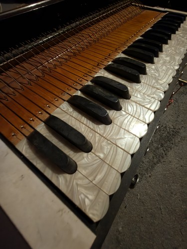 Raj musical harmonium - musical, keys