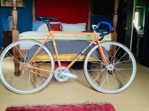 Vintage eddy merckx - eddy,
