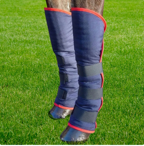 Thermatex travel boots - travel,