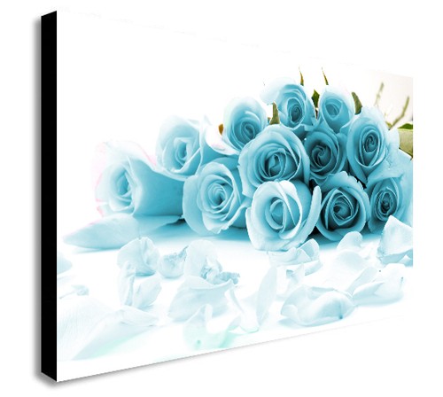 Duck egg blue roses - blue, framed