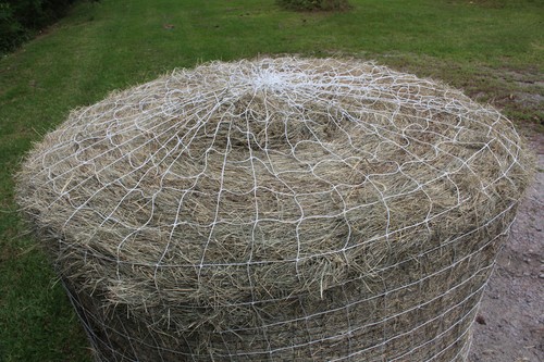 Horse hay round bale - horse,