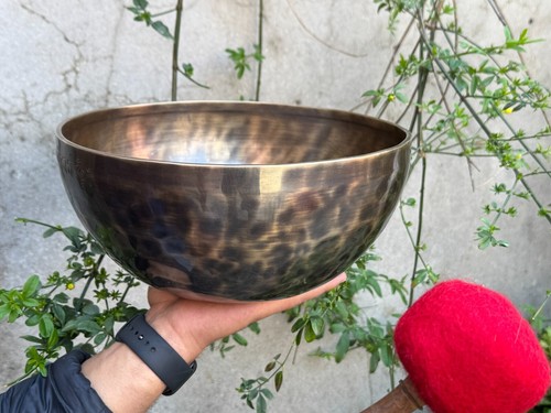 Inches tiger antique - 10,