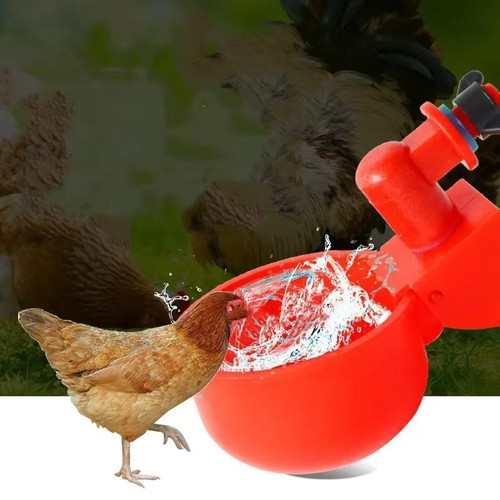 Automatic chicken water - 10,